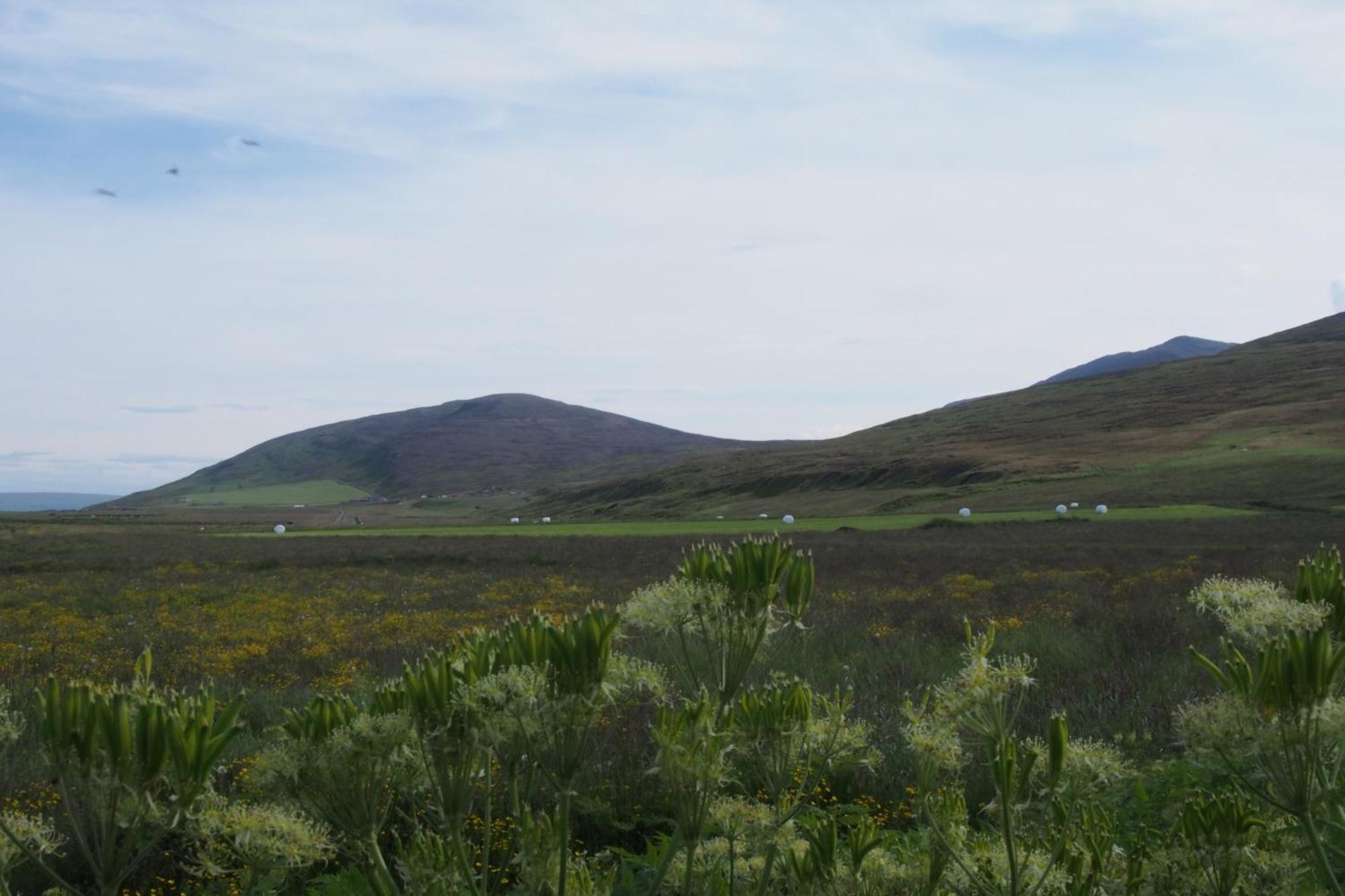 格兰艾斯陶住宿加早餐旅馆 Húsavík 外观 照片