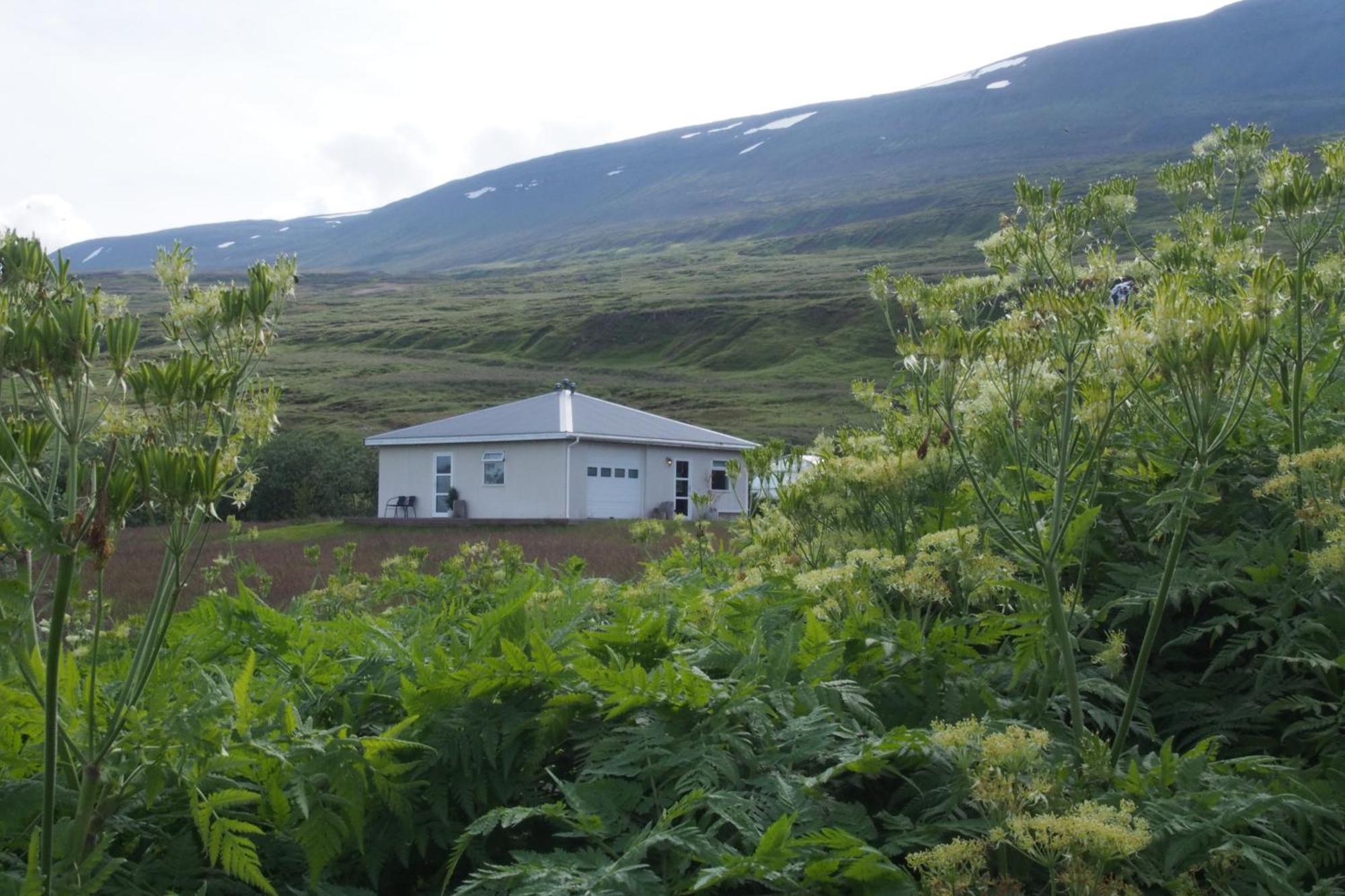 格兰艾斯陶住宿加早餐旅馆 Húsavík 外观 照片